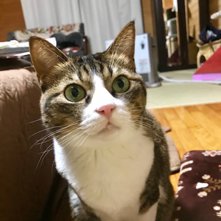 Acf1dd54 b7a8 4a0f 8ff1 ec2ace401e73 1547639231154