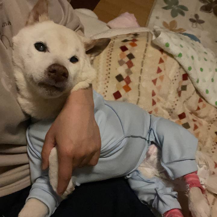 Acf1eb52 f676 43c1 ac48 ab2c3243b40e 1674671071529