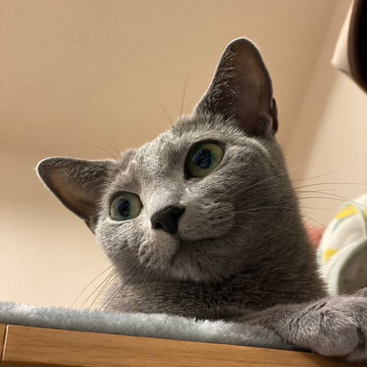 Acf23e02 6957 48fb 8819 a0f989213e98 1695699477102