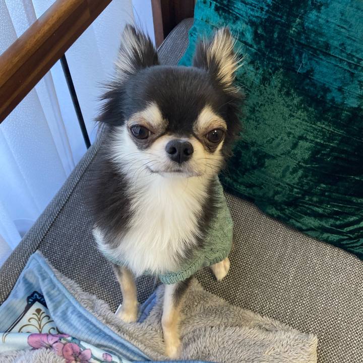 Acf2e7d8 8de4 42c0 8e63 452eb9416041 1641270966032