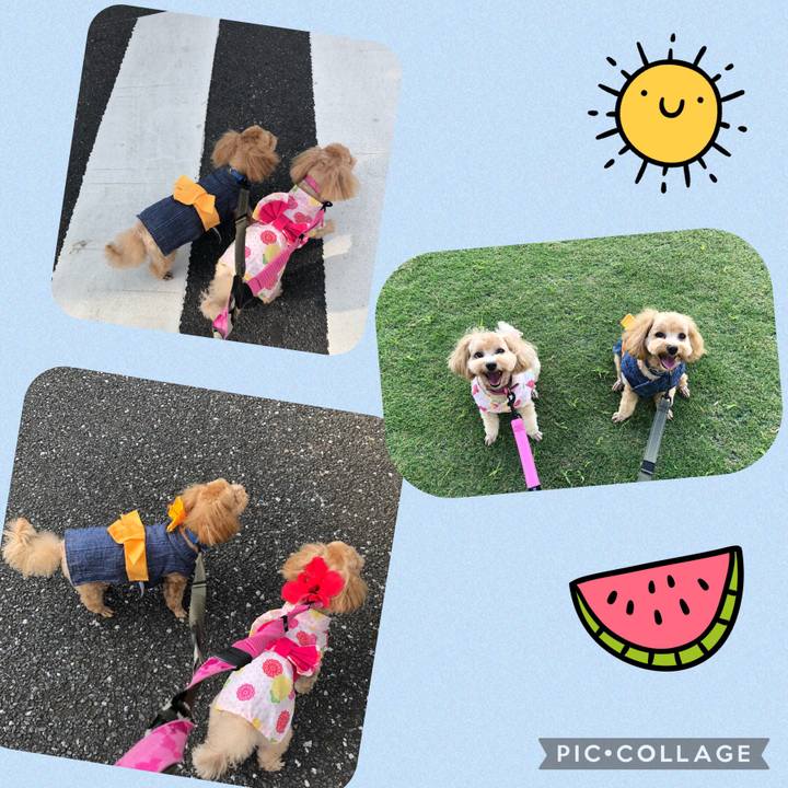 Acf2ff93 4ca1 4bf6 8e04 84faf440dbbe 1630377245481