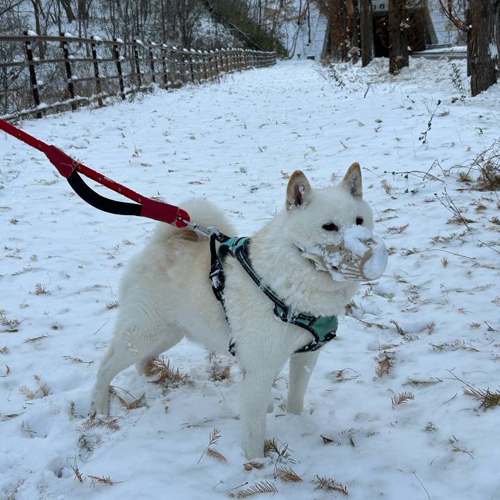 Acf3028d bbbf 49f3 8989 d698cf066e99 1701044105047