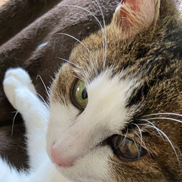 Acf3159b b7cc 48e2 a369 2e7e480bdeeb 1588391852411