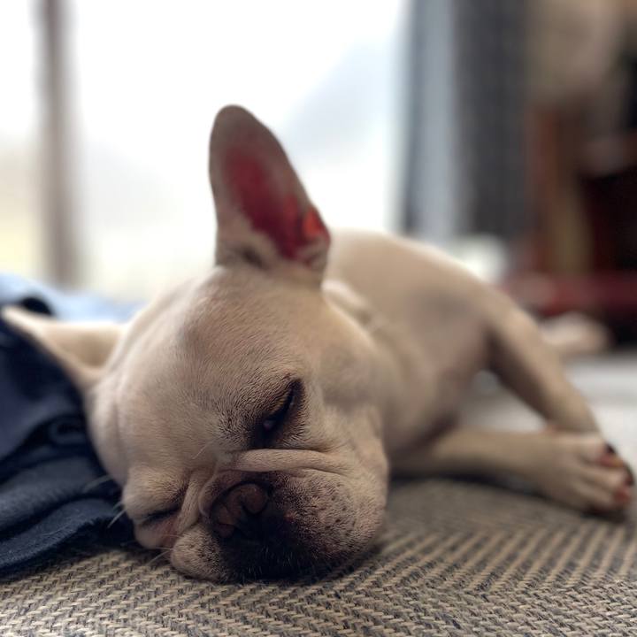 Acf34c71 ea3c 4c81 a01e 61ff4835f8b4 1727650829524