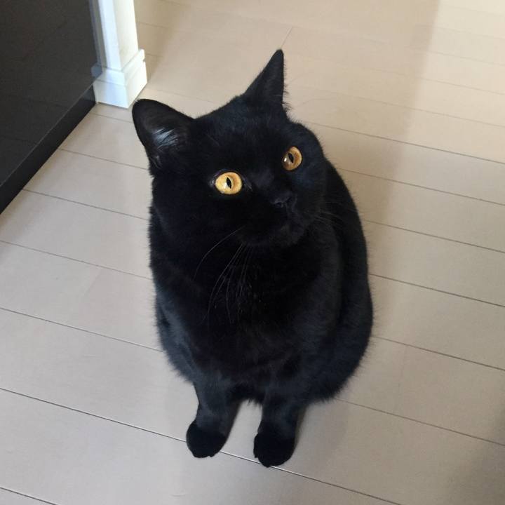 Acf35454 516c 484b bb83 a62b457f01d1 1584747453108