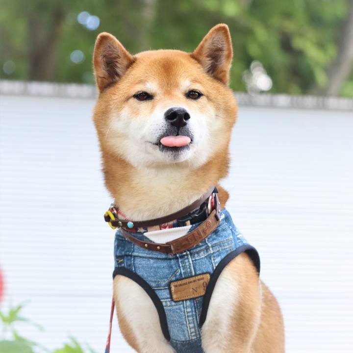 Acf354bf af31 4a8b a6d8 0ad42917ce41 1654518993906