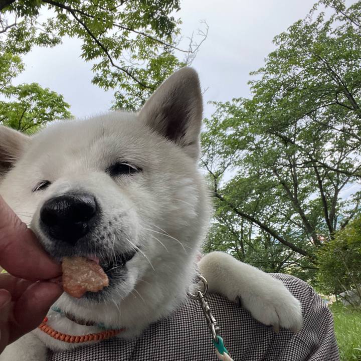 Acf35af2 5328 4ba3 9b60 85562eb32245 1714365824252