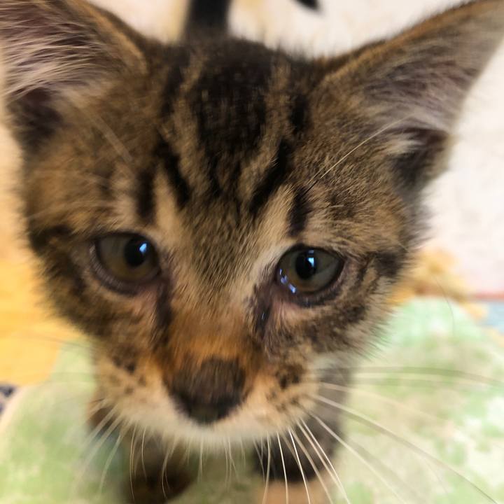 Acf3b2aa 4d55 47bb b6c1 17df7ad8d43c 1724480367260