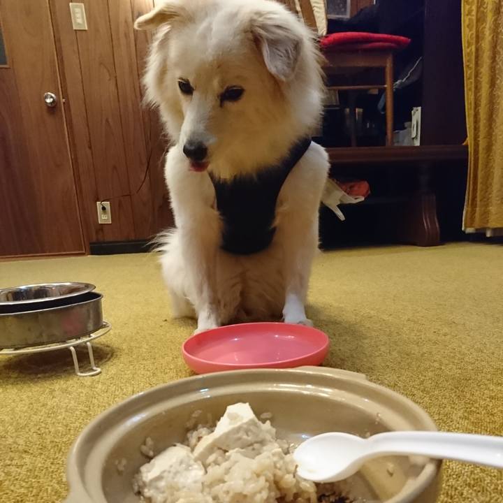 Acf3d052 ec38 4ba0 bc88 cef8d9b0eb8c 1549141938665