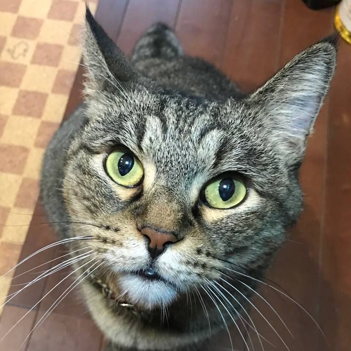 Acf425a1 516a 40e5 a23f e16478c53ca2 1538905989525