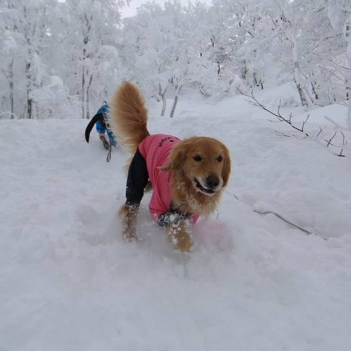 Acf426d8 e9d5 4694 a650 18c901f6cce4 1547996261745