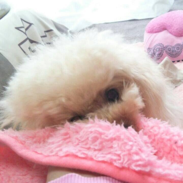 Acf46f97 09d1 44ac ab7c 2b31b71df4dc 1543051107139