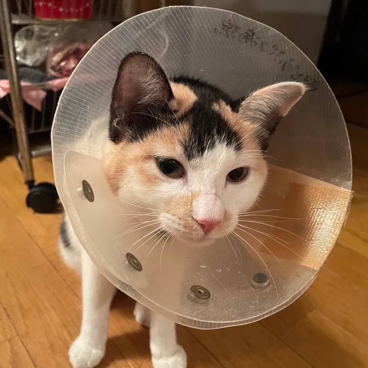 Acf49c8b 226d 46cc 9c2b fa10d1131643 1671876245468