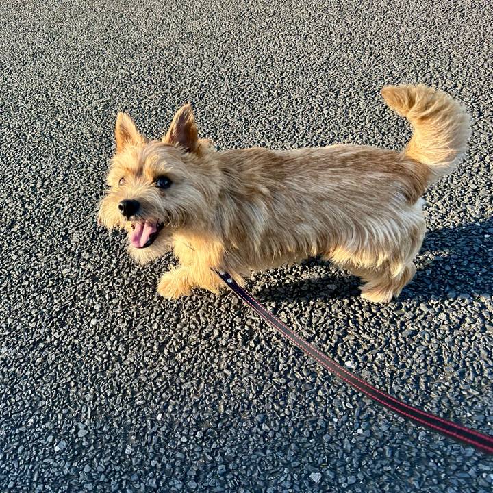 Acf4bb81 f170 4c10 80bf 2d03d910a81f 1750574362753