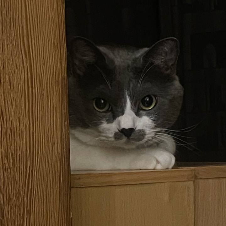 Acf4c66b e25b 4613 8d8b 6c40fc456190 1695289633213