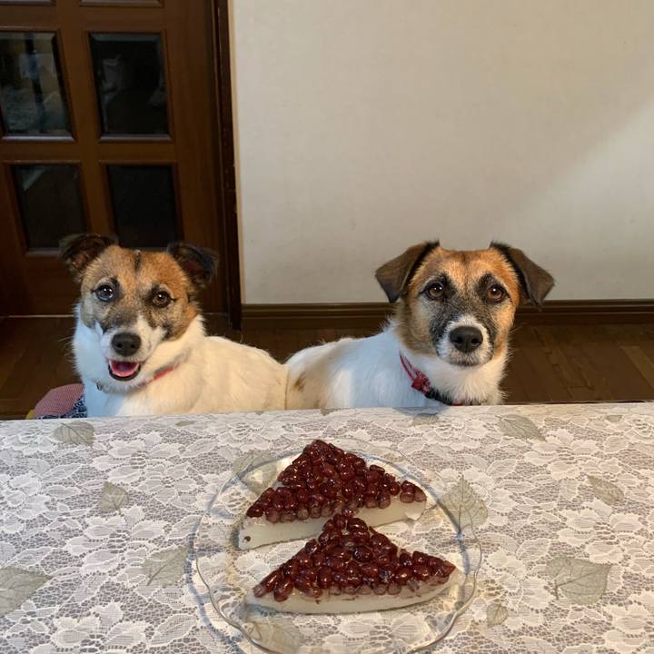 Acf4d921 2e84 4f75 9d1c f560aeaa3418 1625053722314