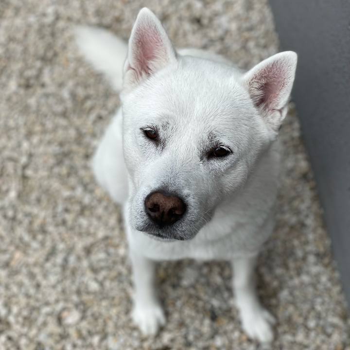 Acf4dcc9 fc9e 4f22 aa81 28afaa9babcc 1618398759686