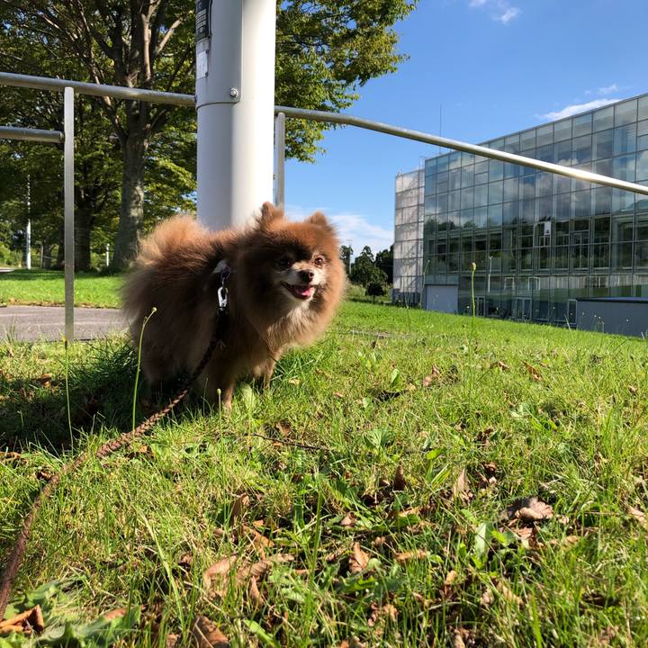 Acf4edf5 d9cf 4ba9 a66f 9e0d4ffa6833 1600754356529