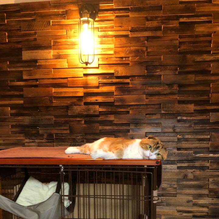 Acf4fed1 f13b 436a 9d08 45505b9494c7 1622040958407