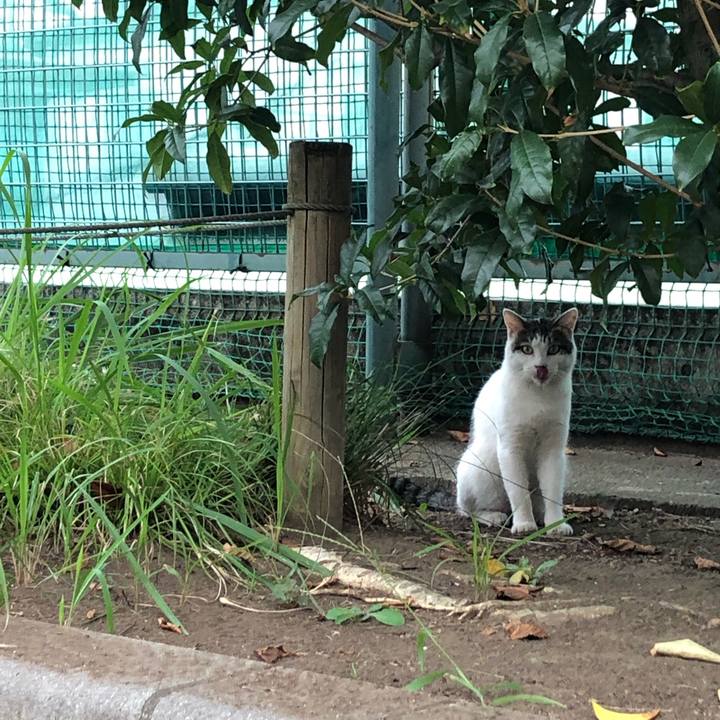 Acf5048f a89e 4ce0 b297 f48fd1e384ea 1570461080283