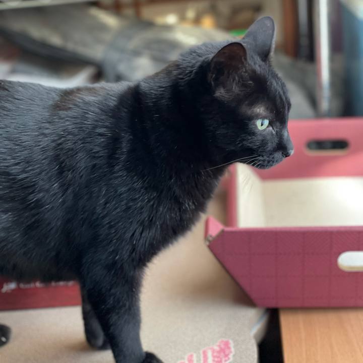 Acf50a02 a780 48b9 a2ff 0d891aa25a44 1610414723860