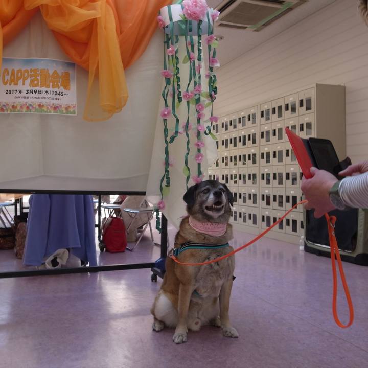 Acf51012 5146 47bc 83a7 526f7707890a 1599780390984