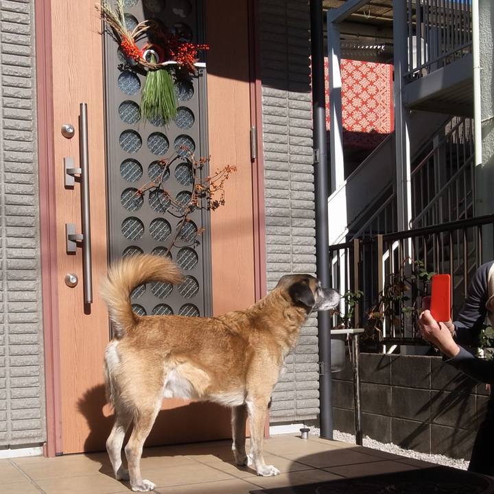 Acf5433f eaac 4d27 8d83 f7e6519a1182 1594376427804