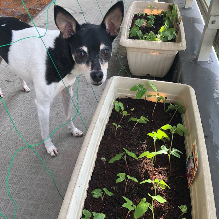 Acf5540b 54b5 4dee 8196 e6752fa7cfa8 1527286108096