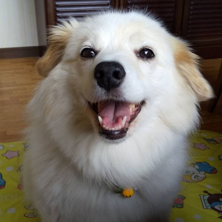 Acf56fff 1224 430c b043 6a0e45355e88 1563505717945