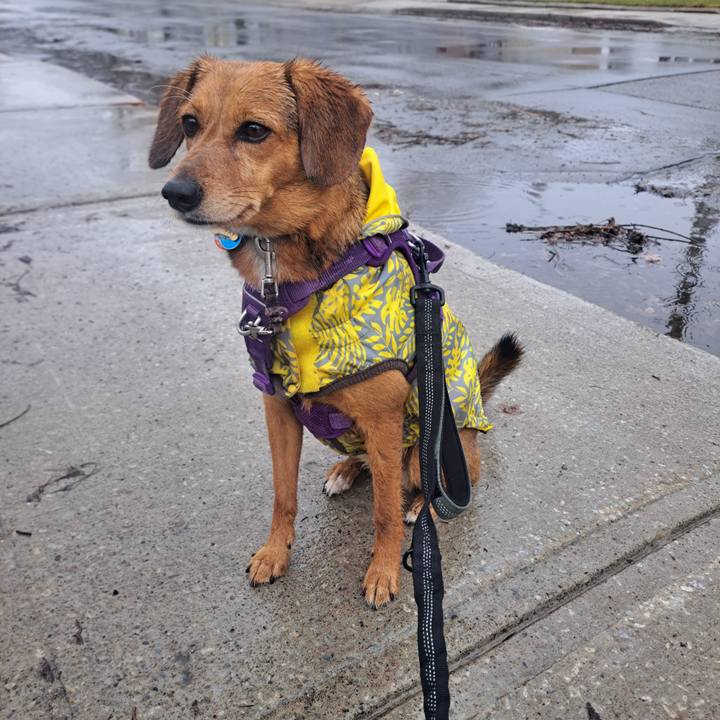 Acf5954f a94d 4a38 9629 5fcd3cd58912 1773266092922