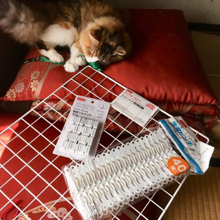 Acf5b093 feb2 4131 8fcd 7ca21a95c74b 1558737757074