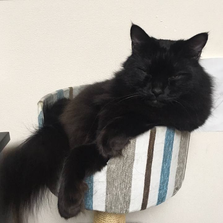 Acf5ccb8 17f2 4a58 aaf6 56695e93752b 1511103106063