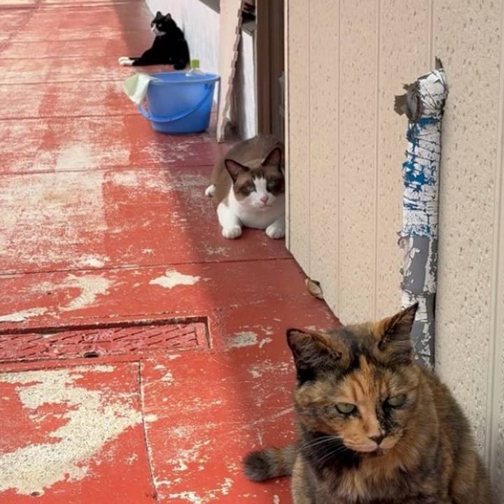 Acf5d992 90e2 4399 ab88 32ed5ec49b26 1758508051599