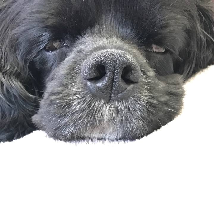 Acf5df42 ae6f 4bee 8edd 2a88dc7d665b 1524114818228