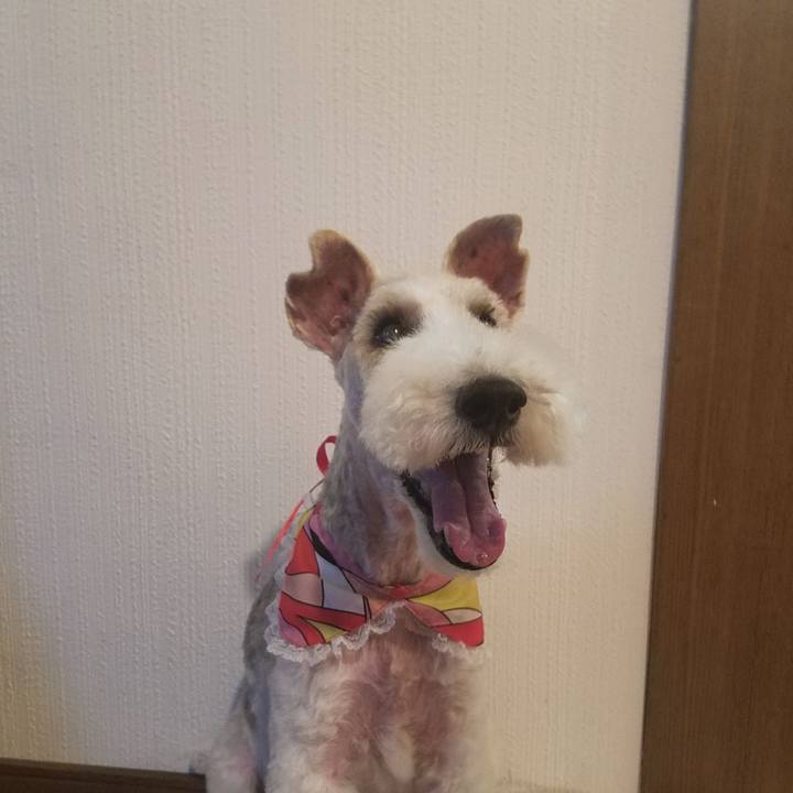 Acf63f31 0b5c 4a7f ba2a 3300b27d5d31 1565439058443