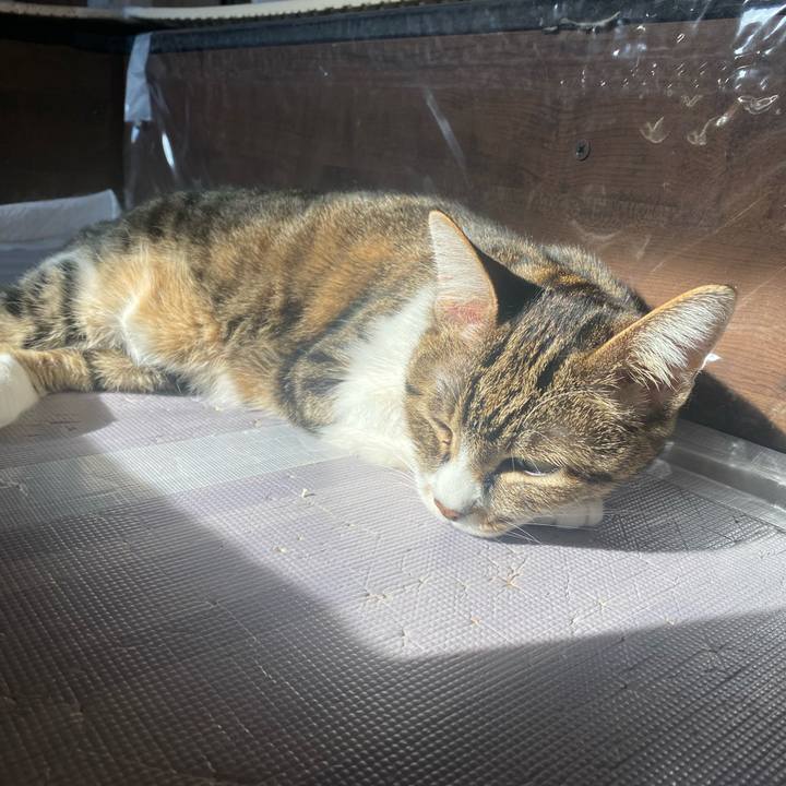 Acf65836 fbb6 4702 9f74 7b06eacc1b37 1638157575141