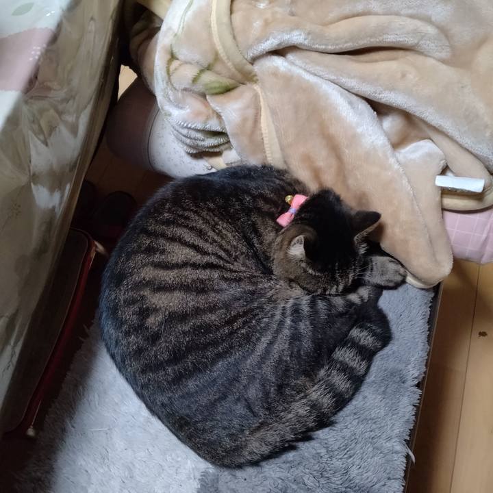 Acf695ba 3ca6 49e3 a6bd 958c5900b448 1667390965306