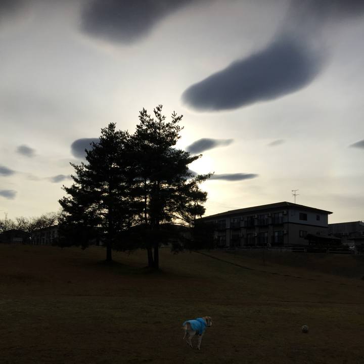 Acf6b2a3 a001 4e27 8baf 207acd27d024 1554181242733