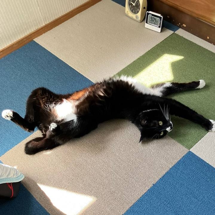 Acf6c045 017f 42c7 a9e5 a26e6b9ca82b 1721188044874