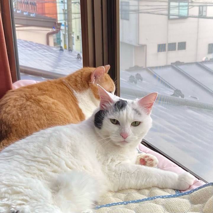 Acf6c6d4 00ee 4c9f 8394 2009545d1b68 1655692837615