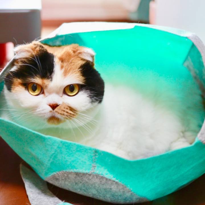 Acf6cd21 ccc7 4763 8f8d 0620d2248865 1570165601489