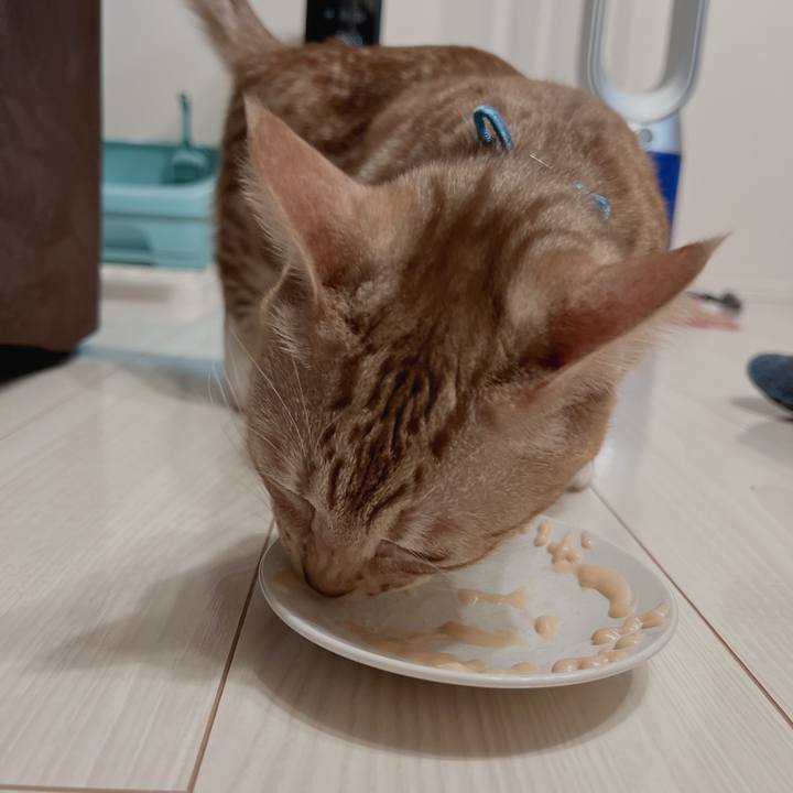 Acf6db78 ed0a 4300 9ff8 37a427a47e81 1672923810059