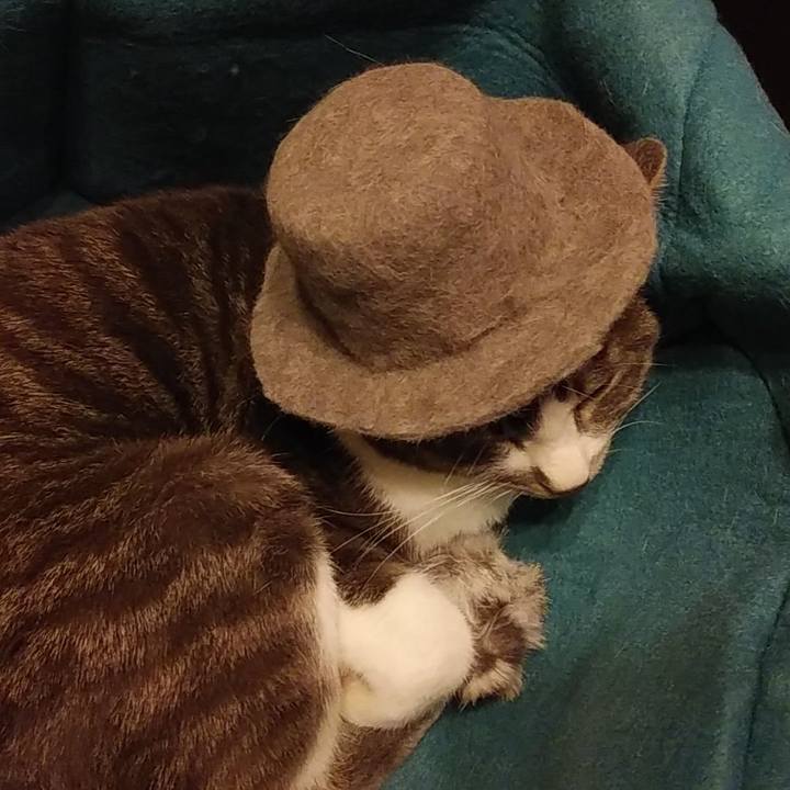 Acf6f79f 5820 4a76 a540 63f5ab5fcf5e 1582902824668