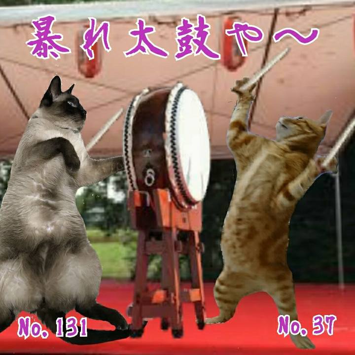 Acf7137c bc59 4c98 b2cf 5e03931e8d03 1527941711467