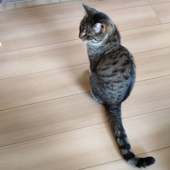 Acf715a8 140a 4ad5 aa1e edcb3b7670da 1683677411807