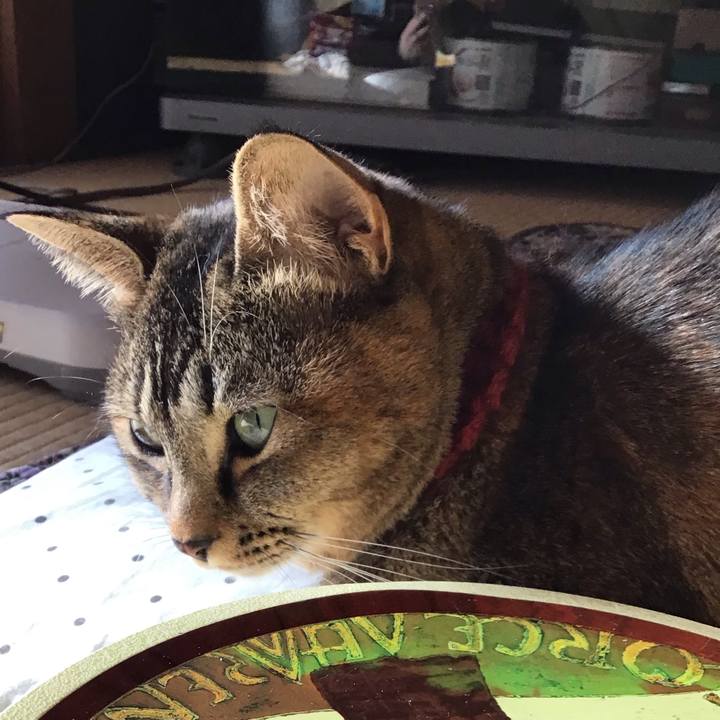 Acf71c71 5ddc 471e 952e e278561d59e8 1639289346426