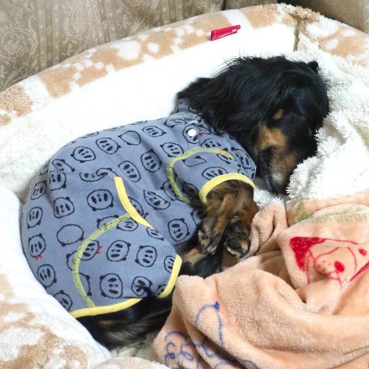 Acf740aa 2794 4931 ae05 470b55163566 1651068008191