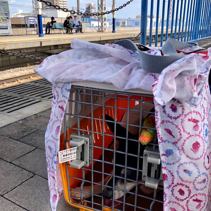 Acf74ae1 e338 4ddc 94aa 877ae340a464 1558224233474