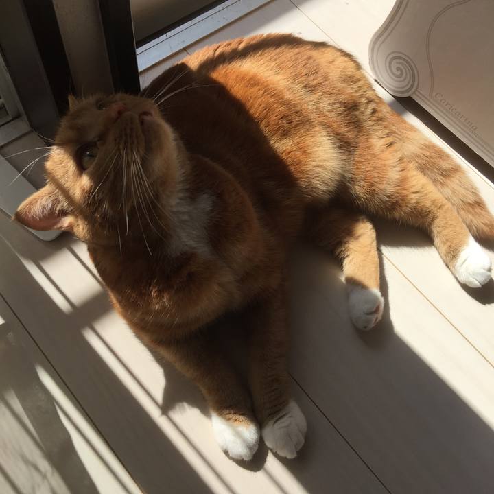 Acf75bc7 2180 4ec9 8999 ea669a2d5dae 1582512717176