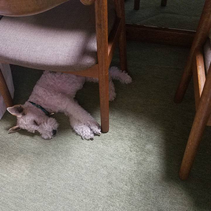 Acf7a170 7008 4d1a a8c6 b5c2d798971a 1561330750844